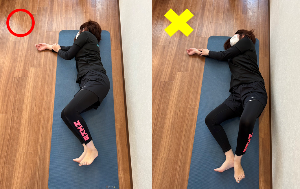 股関節の外旋をしてみよう！｜瀬戸市の整体 - active Body care ももい